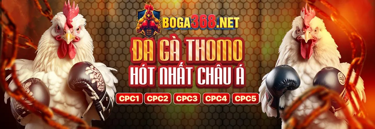 wt88 trang chủ Blog: Nền tảng Cá cược Hàng đầu